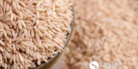 養(yǎng)生指南：適當(dāng)春捂增加運(yùn)動 多喝粥養(yǎng)脾胃有好處