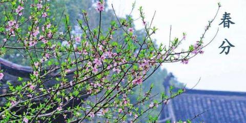 中醫(yī)總結(jié)出來(lái)的春季養(yǎng)生“宜忌” 春分過(guò)后您應(yīng)了解