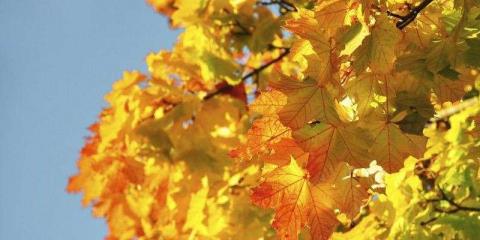 秋季如何根據(jù)節(jié)氣養(yǎng)生 用對(duì)方法養(yǎng)生效果倍棒