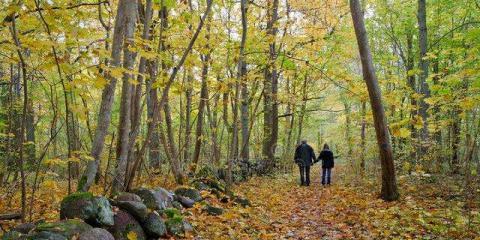 秋凍想要增強(qiáng)免疫力 這四個部位要保護(hù)好