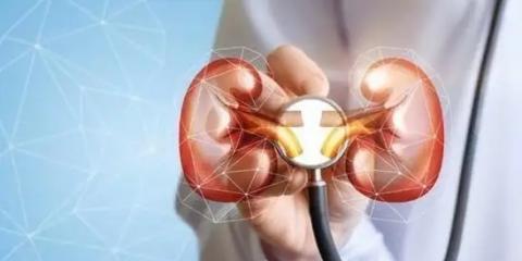 痛風(fēng)患者九項(xiàng)護(hù)腎法則