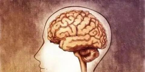 慢病管不好，大腦會變小