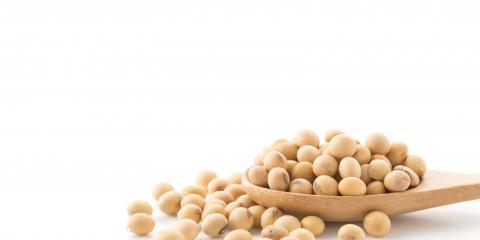 中醫(yī)養(yǎng)生：巧食豆 勝過肉