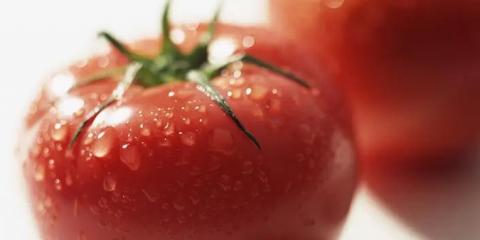 不同體質(zhì)的身體需要哪些食物來進補？