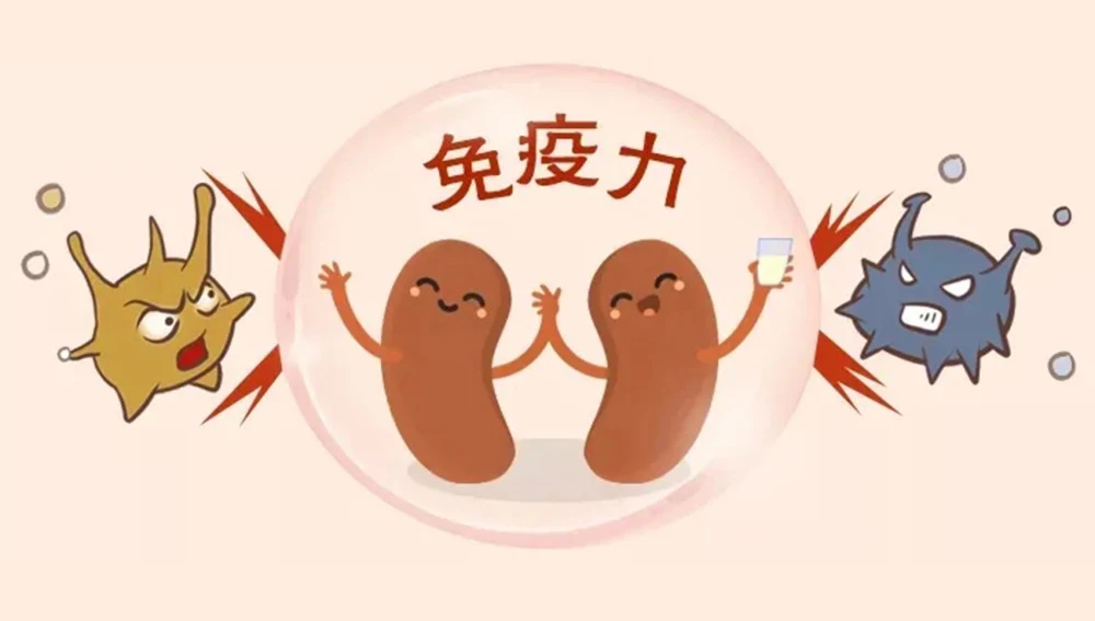 中醫(yī)解析什么是“免疫力”，如何提高免疫力！