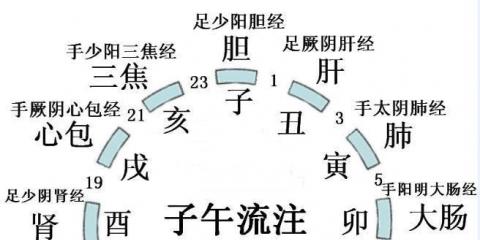 中醫(yī)教你經(jīng)絡(luò)養(yǎng)生排毒法