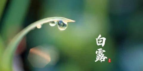今日白露，中醫(yī)和您聊聊養(yǎng)生之法