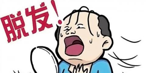 挺“禿然”的！為什么一到秋天就掉頭發(fā)？